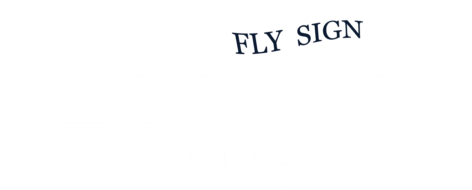 FlySign